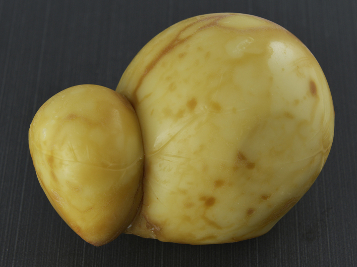 Caciocavallo fumé 