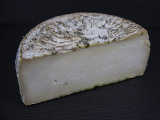 Tomme des Broussailles